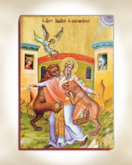 941-8078 Άγιος Ιγνάτιος