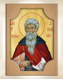 941-8207 Άγιος Ιωάννης Ρίλας